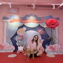 말랑놀이터인화초점 | [5월 서른다섯번째 기록]_강아지 산책하기 좋은 시흥 거북섬, 귀여운 사진도
