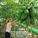 담양커피 이미지