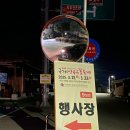 구례의길(지리산둘레길) | 축제는 끝났지만 아직은 만개! 구례 산수유꽃축제 3월 말 방문 후기