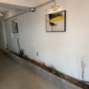 제일장여관 | 서울 종로 가성비 숙소 &#39;월하여관&#39; 내돈내산 솔직후기