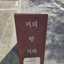 [증산역/불광천 카페] 반려동물 동반 가능한 카페, 러브플루토 방문 후기