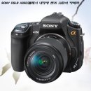 여주-0671 Daum카페