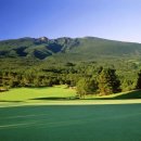 한라산CC 이미지