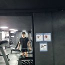 근육터짐 감삼점 이미지