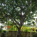 목원어린이집 이미지