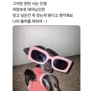 [불가리 비제로원 1밴드 링] 웨딩링 사이즈 망한 후기, 불가리 반지 리사이징, 명품반지 수선 업체 추천...