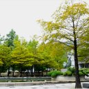 국립순천대학교 이미지