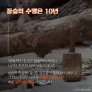 생명공감 이미지