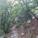 돌샘약수터 이미지