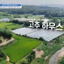 지아 농장 이미지