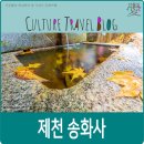 송화사 | 제천 가볼만한 곳, 제천 송화사의 지권인을 한 석조나한상.