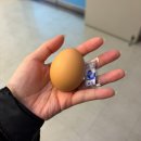 지플러스타워 | 약손명가 구로디지털점 :: 양악관리 얼굴경락 작은얼굴 관리 후기