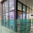 에브리캣 이미지