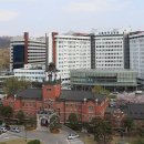 서울대학교병원의학박물관 Daum카페