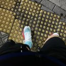 원달 | 살로몬 러닝화 판타즘2 실착 후기 및 사이즈 추천