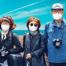 인생학교 봄 이미지