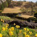 동부산 CC 이미지