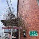 국빈대반점 - 제주시 월광로 127 | [대만] 원산대반점 호텔 후기, 타이베이 이곳저곳 여행