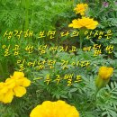 만수2동-17 이미지