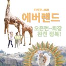 에버랜드 4살, 6살 오픈런부터 불꽃놀이 보고 퇴장까지! 동선 코스 공유