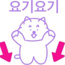 쿄식당 이미지