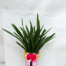 미래에셋 센터원 이미지