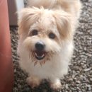 풍국그린맨션 이미지