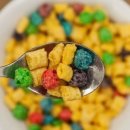 씨리얼 카카오 검색결과