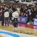 야로동물병원 이미지