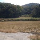 문평면사무소기타 이미지