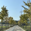 [동락점빵 이동장터 이야기] 11월 7일 운행기록 이미지