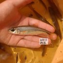 독립-19-02 이미지