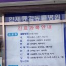 인제종합동물병원 이미지
