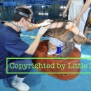 갑을축산 이미지