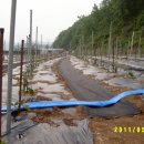 액비골(1) 이미지