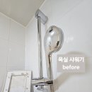 금오약품 이미지