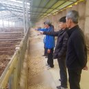 들녘한우 이미지