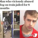 로니의 기차 이미지