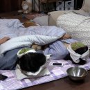 다정민박 이미지