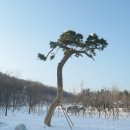 드림랜드