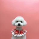 아임그루머 이미지