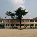 매전 이미지