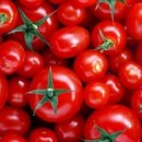 핏피티(Fit PT) 이미지