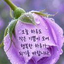 정성 과 성의 이미지