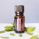 (주)윈터그린 이미지