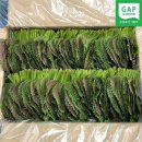 자매 농장 이미지