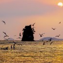 안면도수평선 이미지