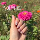 내손으로 직접하는 홈 케어 네일아트 | 경주 네일 스와르네일 황성동 근처 용황 네일샵 아트 제거 추천 후기