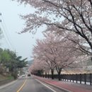 경기도 광주에서 만난 보리밥의 진수, 이삭보리밥