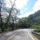 매봉민박 이미지